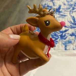 Rudolph pocketbac